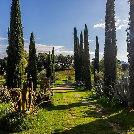 Agriturismo Bio Fattoria Casetta Gavorrano Exteriör bild