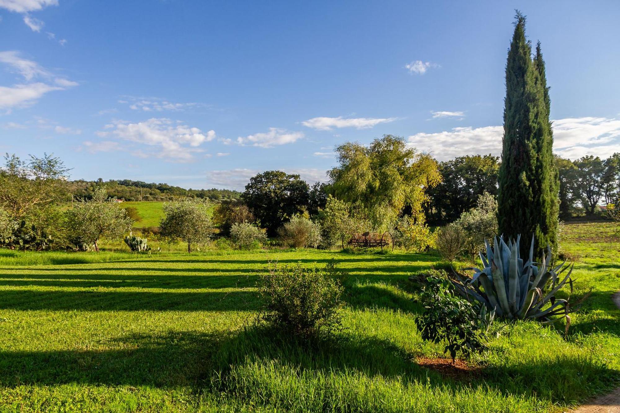 Agriturismo Bio Fattoria Casetta Gavorrano Exteriör bild