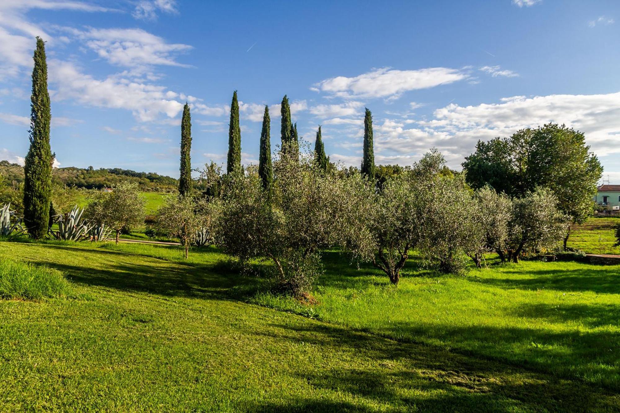 Agriturismo Bio Fattoria Casetta Gavorrano Exteriör bild