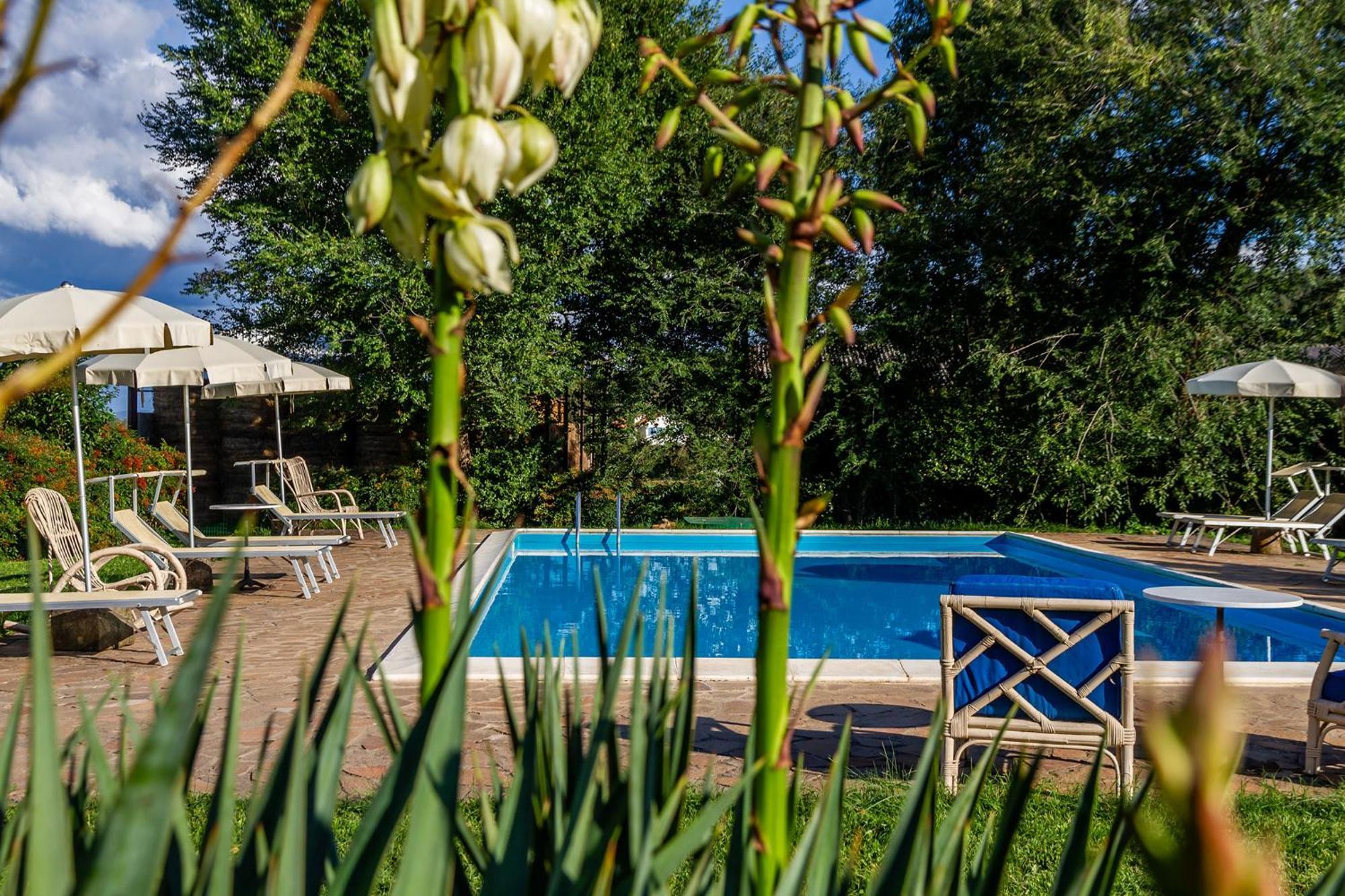 Agriturismo Bio Fattoria Casetta Gavorrano Exteriör bild
