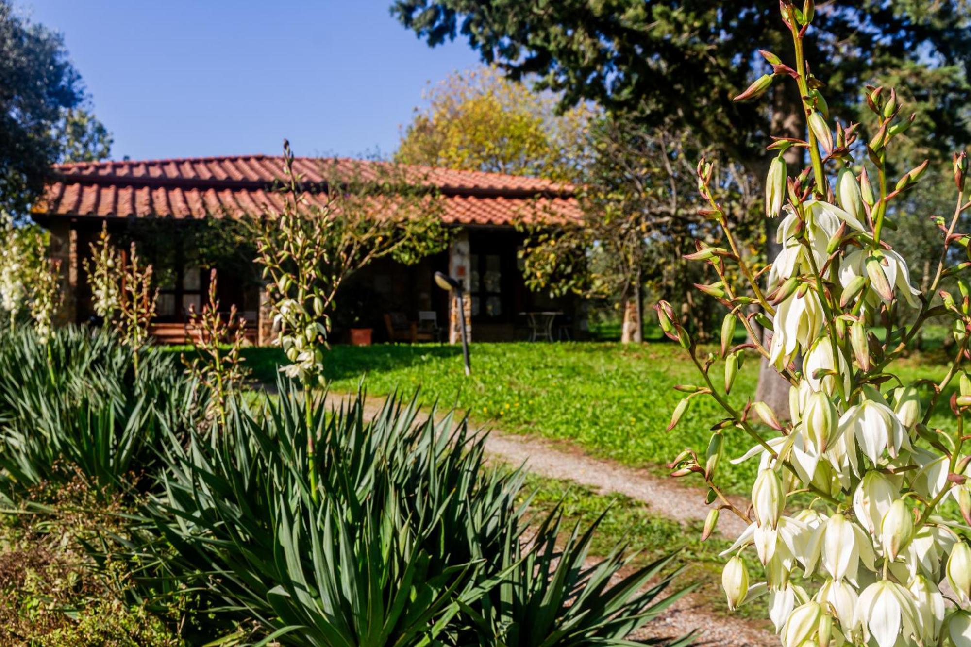 Agriturismo Bio Fattoria Casetta Gavorrano Exteriör bild