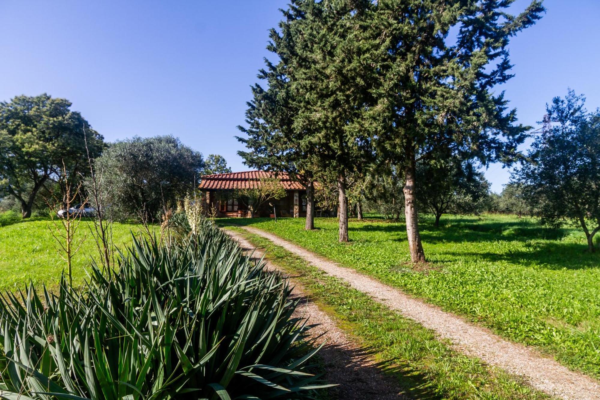 Agriturismo Bio Fattoria Casetta Gavorrano Exteriör bild